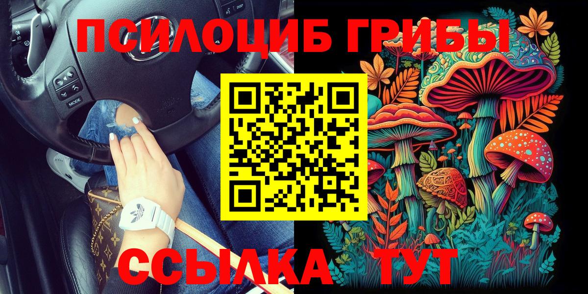 Черемхово  Псилоцибиновые грибы Cubensis  Вход с VPN 